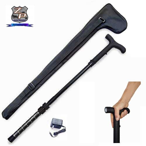 ZAPCANE ForSecuritySake | For Security Sake ZapCaneInHand