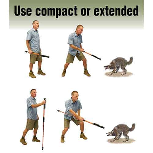 HIKENSTRIKE_h | For Security Sake HikenStrike stun walking staff